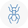Ant Removals In Haslemere