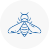 Bee Nest Removal Haslemere
