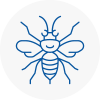 Haslemere Hornet Nest Removals