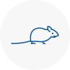Mice Exterminators In Haslemere