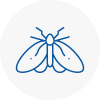 Moth Control Specialists In Haslemere