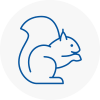Haslemere Rodent Removals